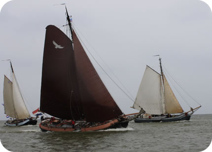 dagje zeilen op de waddenzee