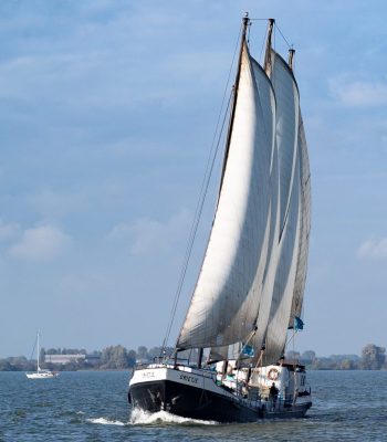 dagtocht zeilen ijsselmeer